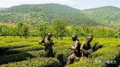 旺山|苏州旺山景区：茶香禅韵已传承1000年了